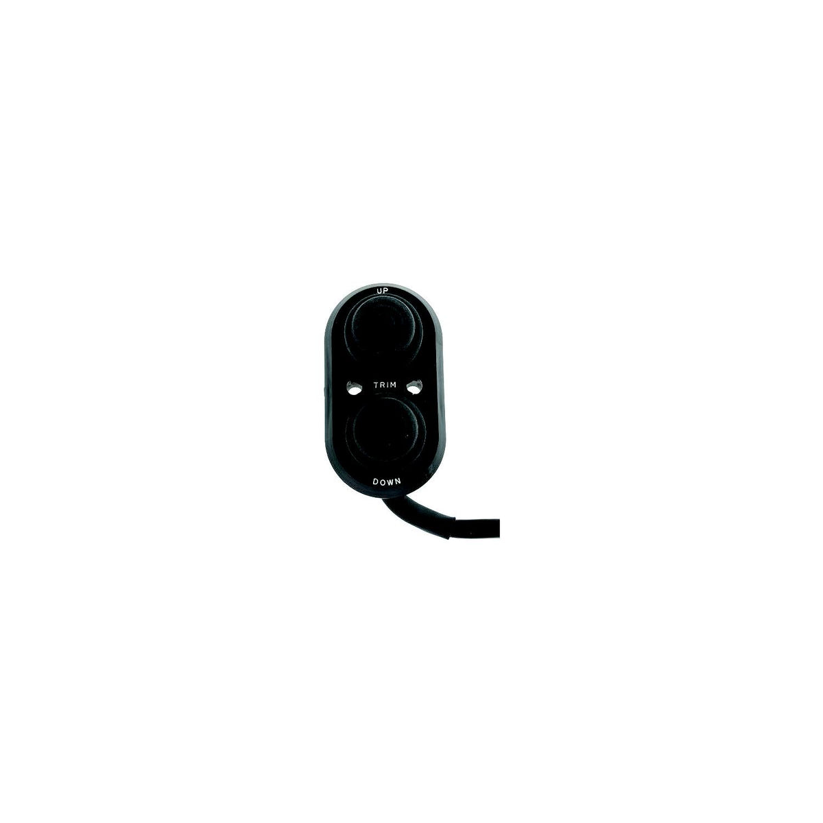 T-H Marine TTC1DP Transom Trim Control -Modern Boat Sales & Service