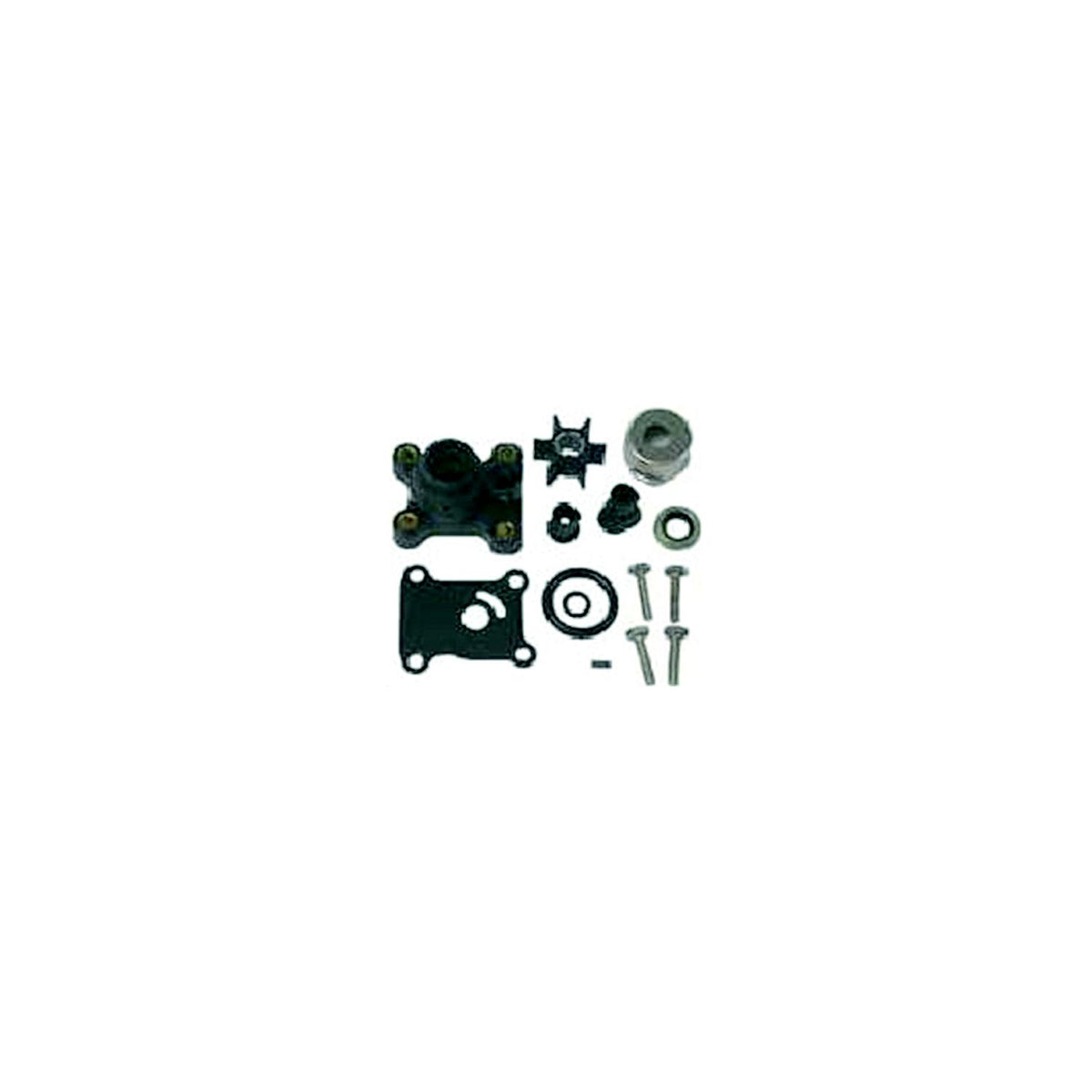Water Pump Kit w/Housing -Modern Boat Sales & Service