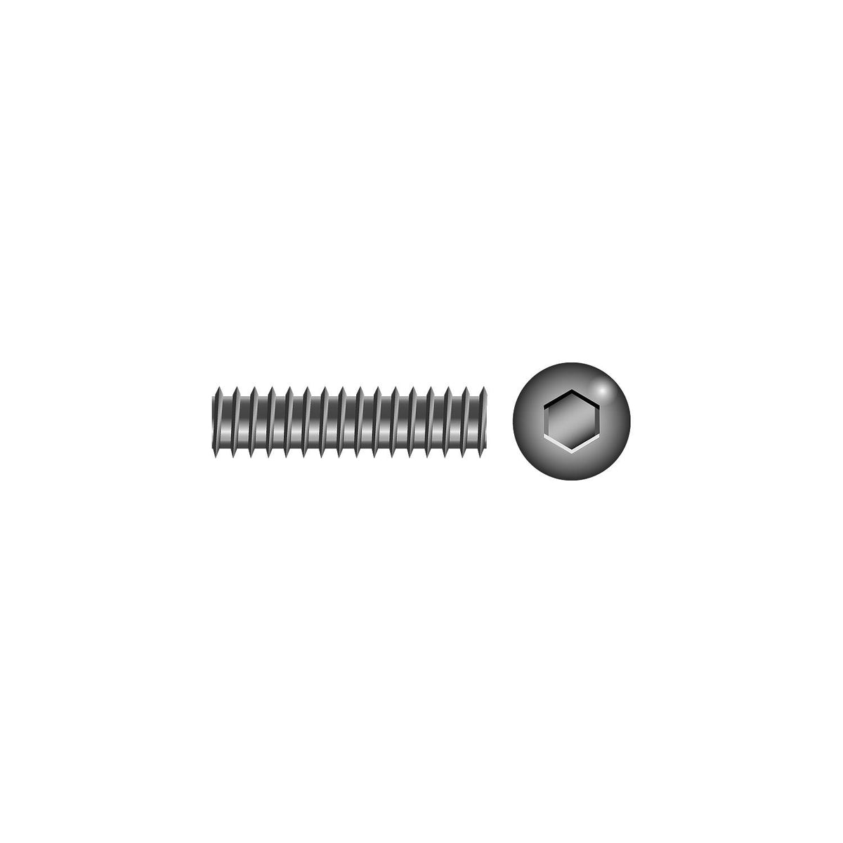 Socket Set Screw 1/4"-28 x 3/16 -Modern Boat Sales & Service