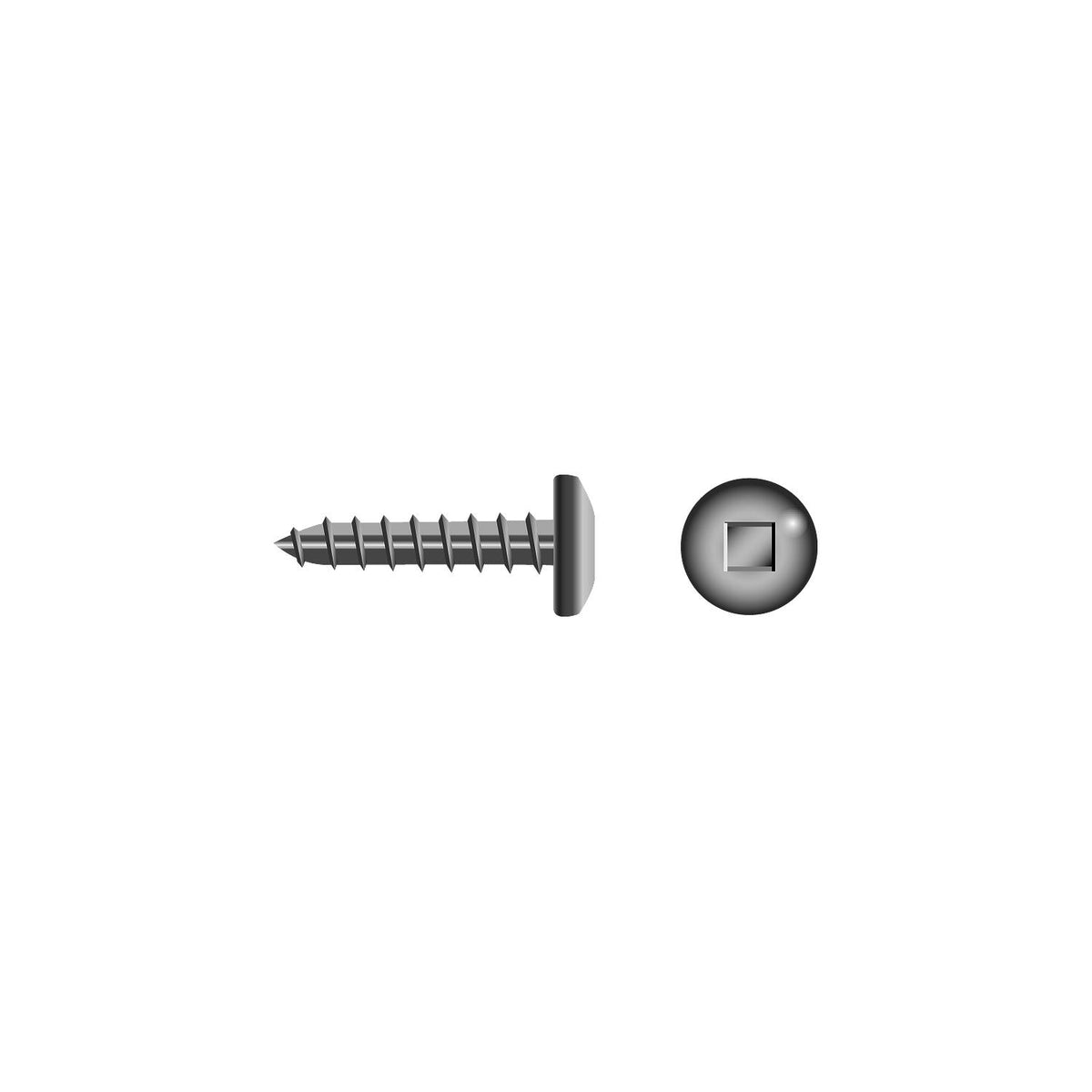 Square Tapping Screw - Pan Head, #8 x 1" -Modern Boat Sales & Service