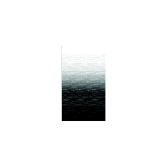 Carefree JU146E00 1-Piece Standard Vinyl Awning Replacement Fabric, 14', Black Fade on Top Side, White Weatherguard -Modern Boat Sales & Service