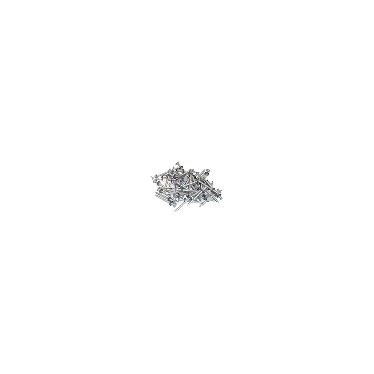 Taylor 96028 Galvanized #6 Nails w/Washers 1/8# 12/Cd -Modern Boat Sales & Service