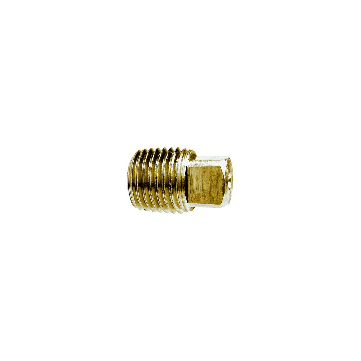 3/8 Brass Sq Head Pipe Plug -Modern Boat Sales & Service
