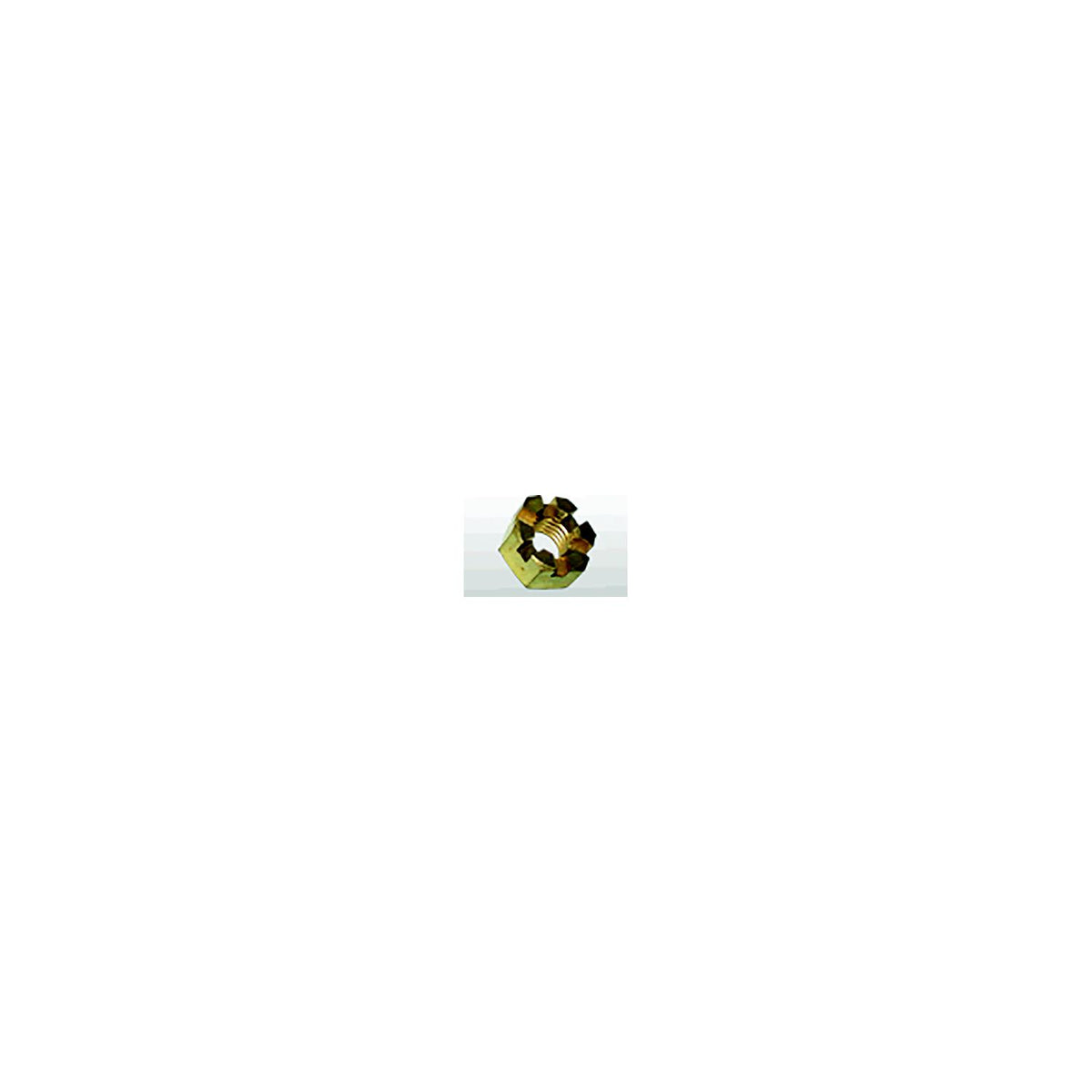 Solas 8114123 BRP J/E Washer Nut-B, C-Series -Modern Boat Sales & Service