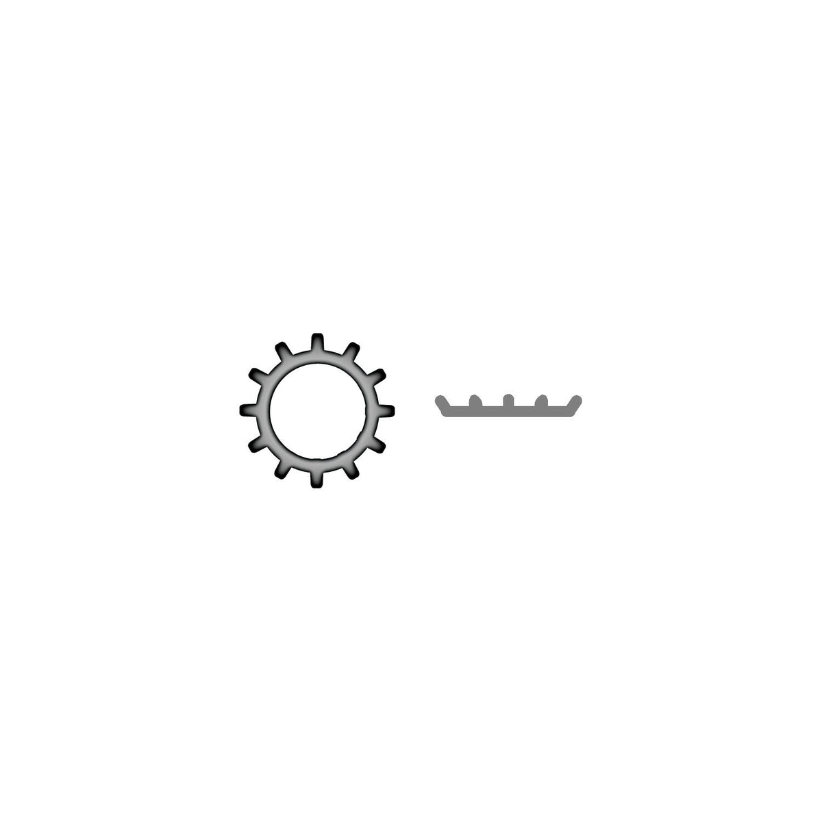 Stainless External Tooth Lock Washer 1/4" -Modern Boat Sales & Service