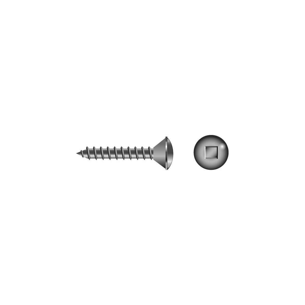 Square Tapping Screw - Oval Head #8 x 3/4" -Modern Boat Sales & Service