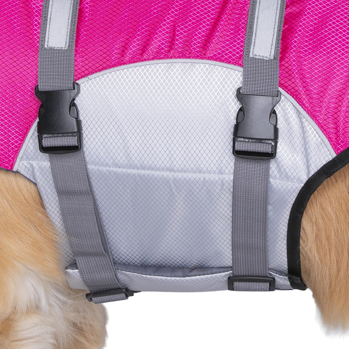 Seachoice 86294 Dog Life Jacket, Color: Yellow, Size: L -Modern Boat Sales & Service