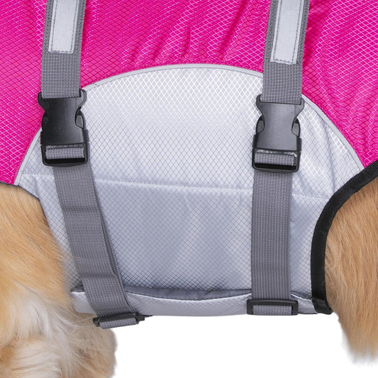 Seachoice 86295 Dog Life Jacket, Color: Yellow, Size: XL -Modern Boat Sales & Service