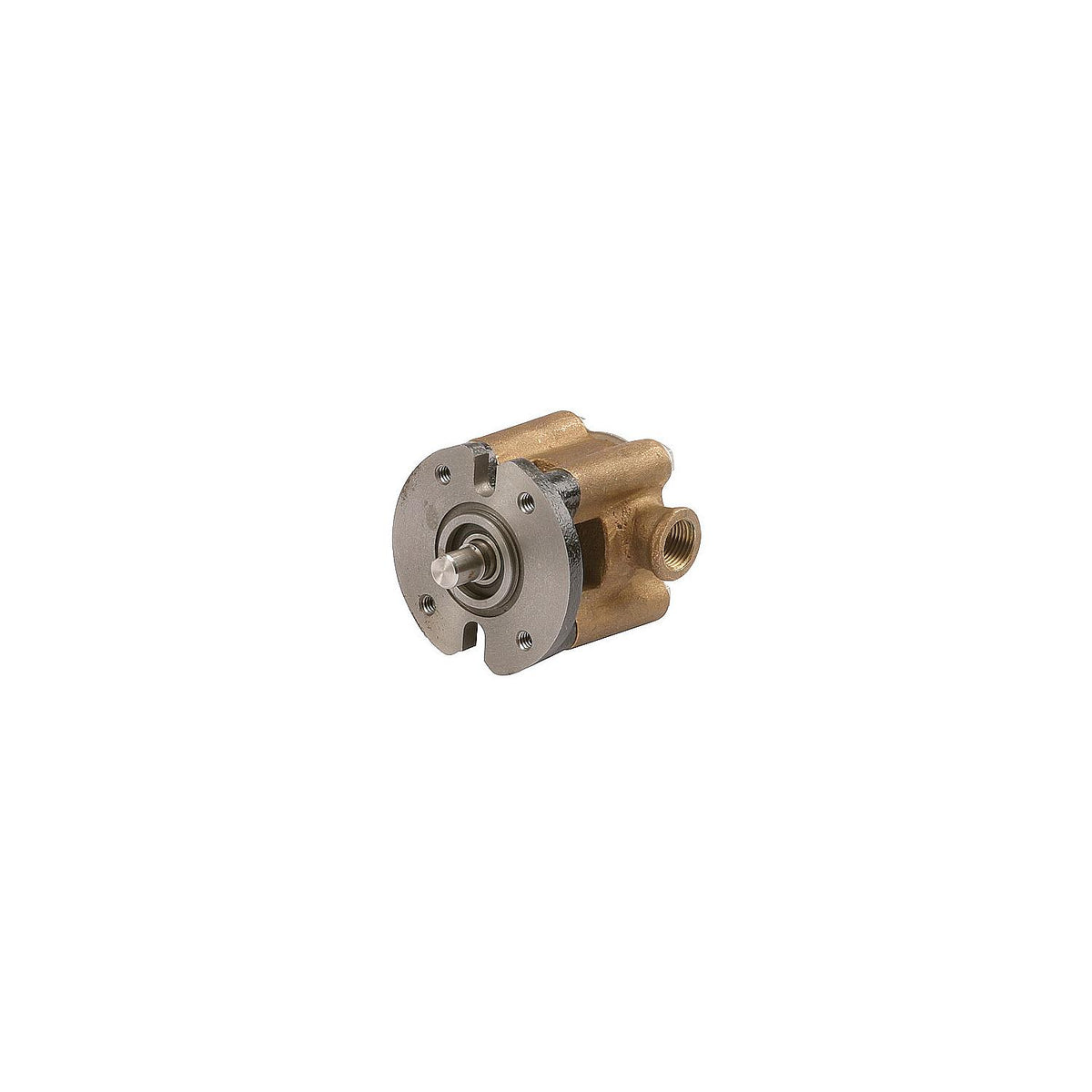 Kohler Seawater Pump - G8001 -Modern Boat Sales & Service